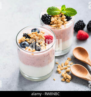 Gesundes Frühstück essen Joghurt mit Beeren, Müsli. Sauber, Essen, gesunde Ernährung, vegane oder vegetarische Ernährung Konzept. Stockfoto