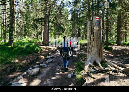 Gesunder Lebensstil Konzept. Paar touristische Mann und Frau mit Rucksäcken entlang Wald Wanderweg Stockfoto