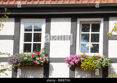 Fachwerkhaus Fenster mit Blumen und Blüten, Achim, Niedersachsen, Deutschland, Europa ich Fachwerkfenster mit Blumen und Blumenkasten, Achim, Niedersac Stockfoto