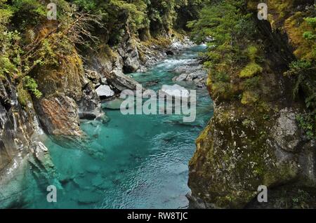 Magic Blue Pools von Haast Pass Neuseeland Südinsel Stockfoto