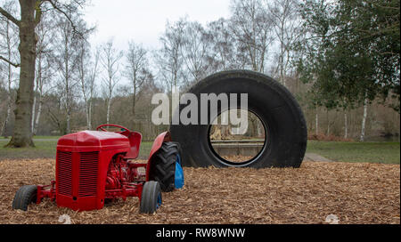 Wellington Country Park, Berkshire in der Nähe von Hook, Heckfield, Rotherwick Stockfoto