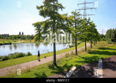 Essen, Nordrhein-Westfalen, Ruhrgebiet, Deutschland, Krupp-Park, Stadtentwicklung Projekt Krupp-Guertel in der westlichen Viertel von Essen, hier Frau wi Stockfoto