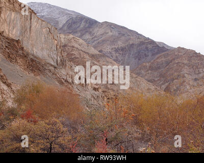 Berglandschaft in der oberen Markha Valley, Ladakh, das Land der Hohen Pässe Stockfoto