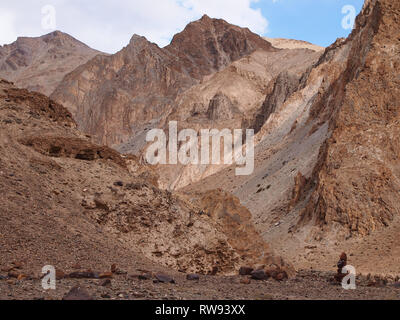 Berglandschaft in der oberen Markha Valley, Ladakh, das Land der Hohen Pässe Stockfoto