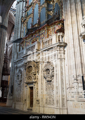 Der Kathedrale von Salamanca Stockfoto