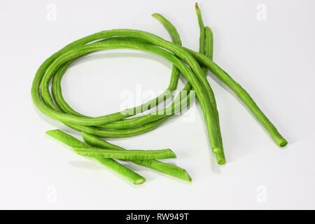 Lange Bohnen. Diese langen Bohnen ähnlich sind Französisch und können auf die gleiche Weise zubereitet werden. Stockfoto