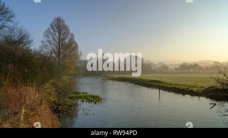 Misty Morning Light auf dem Fluss Meon in der Nähe von Exton, South Downs National Park, Hampshire, Großbritannien Stockfoto