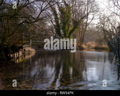 Misty Morning Light auf dem Fluss Meon in der Nähe von Exton, South Downs National Park, Hampshire, Großbritannien Stockfoto