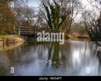 Misty Morning Light auf dem Fluss Meon in der Nähe von Exton, South Downs National Park, Hampshire, Großbritannien Stockfoto