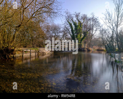 Misty Morning Light auf dem Fluss Meon in der Nähe von Exton, South Downs National Park, Hampshire, Großbritannien Stockfoto