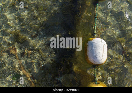 Dreckig, Weiß und alten suchen Boje auf dem Wasser schwimmend mit orange Pflanzen angebracht. Stockfoto