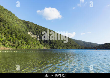 Schöne Aussicht auf die grünen Hügel am See Okataina in Neuseeland. Stockfoto