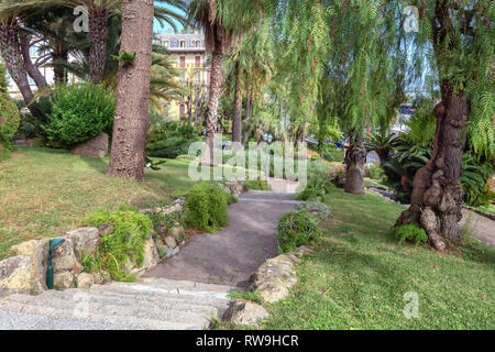 Schöne Bäume wachsen im Park entlang der Küstenstraße von San Remo in Italien Stockfoto