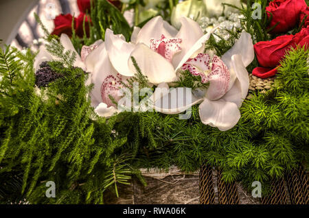 Weiße Orchideen mit rosa Blütenblatt und Flecken in der Mitte, rote Rosen mit Spargel und Gypsophila in einem Korb, gerahmt Stockfoto