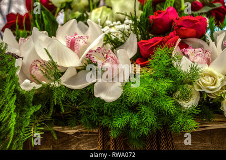 Weiße Orchideen mit rosa Blütenblatt und Flecken in der Mitte, gelbe und rote Rosen mit Spargel und Gypsophila in einem Korb, gerahmt Stockfoto