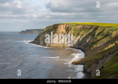 Küste bei Port Mulgrave auf dem Cleveland Way, North Yorkshire, England. Stockfoto