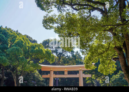Renovierte torii Tor an Meiji Jingu. Meiji Schrein in Shibuya, Tokio, ist der Shintō-Schrein, der die vergöttert Geister der Kaiser gewidmet ist. Stockfoto