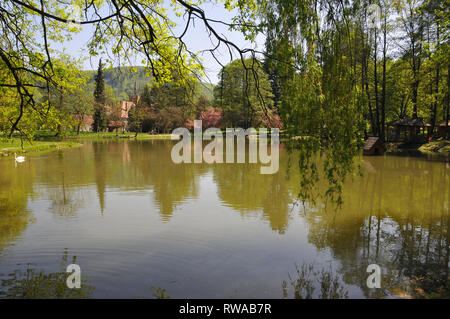 See in den Schlosspark. Das Jagdschloss des Grafen Schönborn in Carpaty. Im Jahr 1890 erbaut. In der Vergangenheit - Beregvar Dorf, Zakarpattja Region, in der Ukraine. Stockfoto