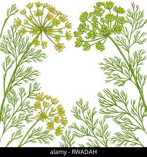 Dill vektor Rahmen auf weißem Hintergrund Stock Vektor