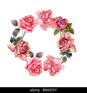 Rosa Blumen botanischen Blume. Wild Federblatt wildflower isoliert. Aquarell Hintergrund Abbildung. Aquarell Zeichnung mode Aquarelle Stockfoto
