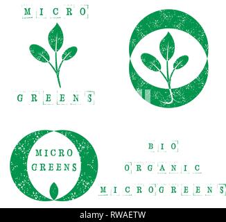 Microgreens Logo. Saatgut und Leben microgreens Packaging Design. Grunge Textur Stock Vektor