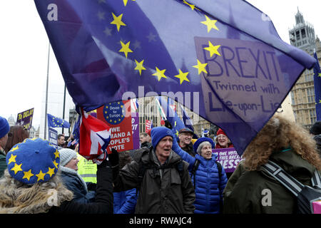 Brexit bleiben und Aktivisten lassen außerhalb des Parlaments während einer Debatte und Abstimmung über die Brexit beschäftigen. 30.01.2019. London. Stockfoto