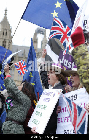 Brexit bleiben und Aktivisten lassen außerhalb des Parlaments während einer Debatte und Abstimmung über die Brexit beschäftigen. 30.01.2019. London. Stockfoto