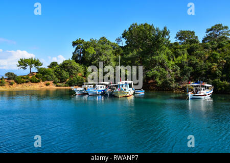 Türkische Fischerboote in der Bucht von mediterranen Pinien umgeben, Gulet Yacht Kreuzfahrt, Mittelmeer, Türkei Stockfoto