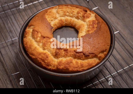 Madeira Kuchen von oben in runde Auflaufform Stockfoto