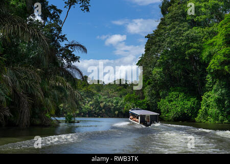 Touristen zu Nationalpark Tortuguero auf Booten transportiert werden, Costa Rica Stockfoto