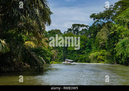 Touristen zu Nationalpark Tortuguero auf Booten transportiert werden, Costa Rica Stockfoto