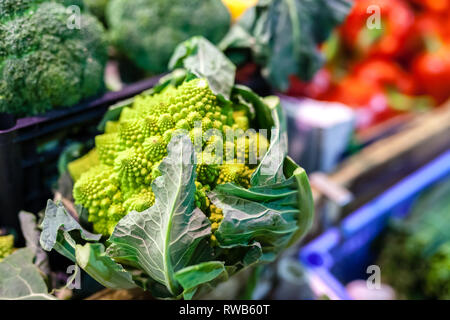 Kohl grünes Blatt in Bündeln, Winter Gemüse, im Verkauf bei lokalen famer Markt, typisch für die Toskana Stockfoto