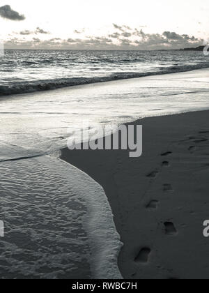 Fußspuren im Sand, Vom Meer, tropischen Strand, Sky Beach, Eleuthera, Bahamas, Karibik gewaschen. Stockfoto