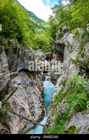 Velika Korita oder Große Schlucht des Fluss Soca, Bovec, Slowenien. Schöne lebendige türkis Baches rapids, läuft durch einen Canyon umgeben von Fore Stockfoto