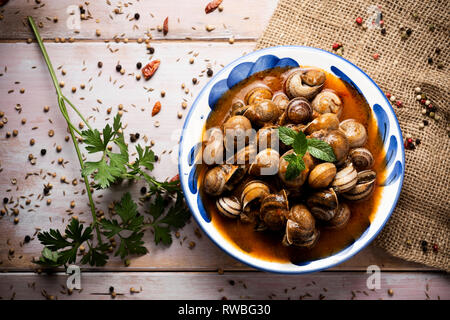 Hohe Betrachtungswinkel und einer Keramik Schüssel mit spanischen Caracoles en Salsa, gekochte Schnecken in Soße, auf einem rustikalen Holztisch, neben einem Zweig eine Petersilie Stockfoto