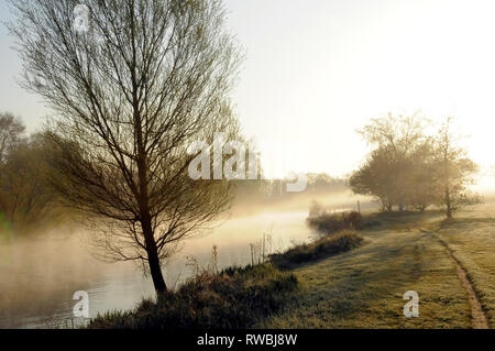 Die Themse ist Abingdon in der frühen Morgensonne Stockfoto