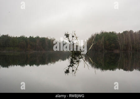 Seeaufnahmen bei Alzenau Stockfoto