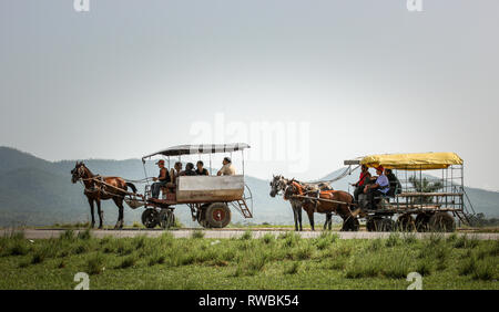 Artemisa, Kuba. 29. Mai 2009. Pferdewagen, warten für Passagiere, die ankommen und sind eine der beliebtesten Möglichkeiten der Transport in ländlichen Cu Stockfoto