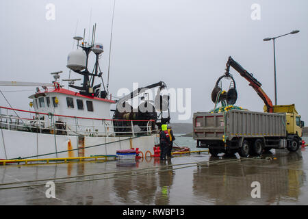 Schleppnetz geladen werden an Bord eines Fischtrawler. Stockfoto