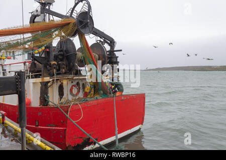 Schleppnetz geladen werden an Bord eines Fischtrawler. Stockfoto