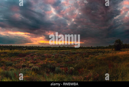 Sommer Sonnenuntergang in der ukrainischen Steppe. Ukrainische Sommer Landschaft. Bewölkt Landschaft mit Blick in die Natur Stockfoto