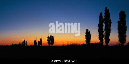 Allee Silhouetten. Ein Abend im Sommer Sonnenuntergang Landschaft auf Himmel Hintergrund in Dnipropetrowsk, Ukraine Stockfoto