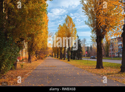 Herbst Landschaft. Ein Pappeln Gasse auf dem Hintergrund des blauen Himmels. Ein Herbst Stadt Landschaft mit Häusern und Autos auf der Straße. Stockfoto