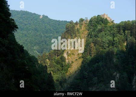 Gotische Cetatea Poenari Poenari (Schloss) in Poenari, Rumänien. 18. Juli 2009, in dem 13. Jahrhundert und wurde im XV Jahrhundert von Vlad the Impaler voivo Stockfoto