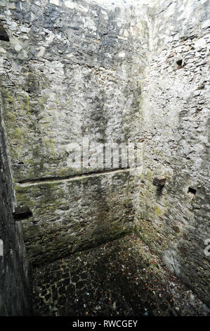 Gotische Cetatea Poenari Poenari (Schloss) in Poenari, Rumänien. 19. Juli 2009, in dem 13. Jahrhundert und wurde im XV Jahrhundert von Vlad the Impaler voivo Stockfoto