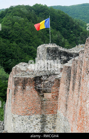 Gotische Cetatea Poenari Poenari (Schloss) in Poenari, Rumänien. 19. Juli 2009, in dem 13. Jahrhundert und wurde im XV Jahrhundert von Vlad the Impaler voivo Stockfoto