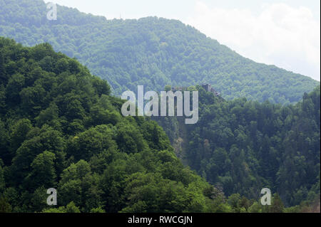 Gotische Cetatea Poenari Poenari (Schloss) in Poenari, Rumänien. 19. Juli 2009, in dem 13. Jahrhundert und wurde im XV Jahrhundert von Vlad the Impaler voivo Stockfoto