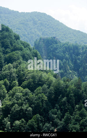 Gotische Cetatea Poenari Poenari (Schloss) in Poenari, Rumänien. 19. Juli 2009, in dem 13. Jahrhundert und wurde im XV Jahrhundert von Vlad the Impaler voivo Stockfoto