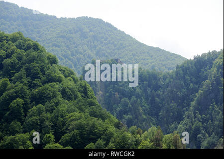 Gotische Cetatea Poenari Poenari (Schloss) in Poenari, Rumänien. 19. Juli 2009, in dem 13. Jahrhundert und wurde im XV Jahrhundert von Vlad the Impaler voivo Stockfoto