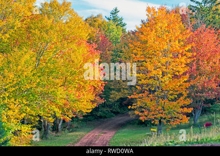 Country Lane von Falllaub, Stanchel, Prince Edward Island, Kanada umgeben Stockfoto